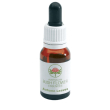 autumn leaves cce 15 ml