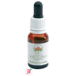 autumn leaves gocce 15 ml