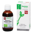 betulla bianca semi gd  50ml bio