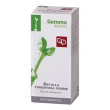 betulla pub gemme mg 50ml