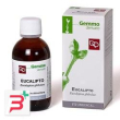 eucalipto macerato glicerico 50 ml