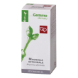 magnolia off gd  50ml