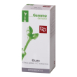 olmo macerato glicerico 50 ml