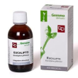 eucalipto gd 100ml