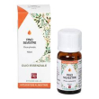 pino silvestre oe 10ml