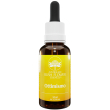 ottimismo ess austr 30ml
