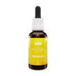 ottimismo ess austr 30ml