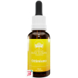 ottimismo essence australian 30 ml