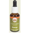 bush flower essences fiori australiani vivacity gocce 30 ml