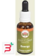 vivacity 30 ml gocce