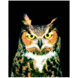 gufo essenze di animali selvatici 30ml