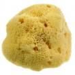 beautytime spugna naturale dama fine 1 pezzo
