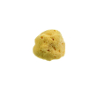 beautytime spugna naturale dama m