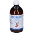 gastrotuss® sciroppo antireflusso 500 ml