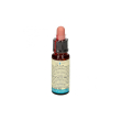 estratto univ - estratto universale calmante e stabilizzante 10 ml