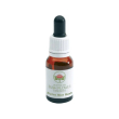alpine mint bush essenza da 15ml 1 pezzo