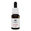 jacaranda essenza 15ml