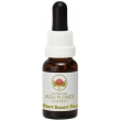 sturt desert pea essenza 15ml