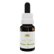 abund spr ess 30ml