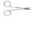 spencer forb punti