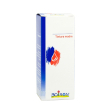 boldo tintura madre 60 ml
