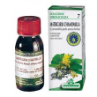 camomilla 7 50ml tm