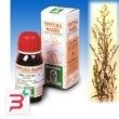 verga oro 26 50ml tm