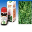 gramigna 37 50ml tm