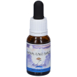 authenticity essenza 15ml 15 ml