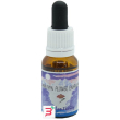 authenticity essenza 15 ml 1 pezzo