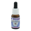 ecstasy essenza 15ml
