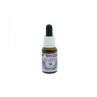 gratefulness essenza 15ml