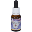 strength essenza 15ml 15 ml
