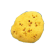 spugna nat fori l 8/9cm 5