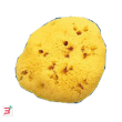 spugna nat fori l 10/11cm 7