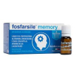 fosfarsile memory 10fl