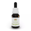 monga waratah gocce 15 ml
