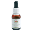 aus bush flower angelsw 15ml