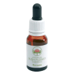 boronia gocce australian bush flower essences 15ml