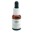 bush fuchsia australian 15ml