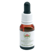 bush fuchsia gtt 15ml