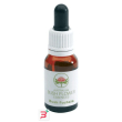 bush fuchsia gocce 15 ml