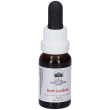 bush gardenia gocce 15 ml ml orali