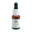 dog rose australian 15ml