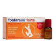 fosfarsile forte ginseng 10fl