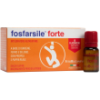fosfarsile forte ginseng 10 flaconcini 10x1 ml soluzione orale