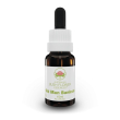 australian bush flower essences old man banksia gocce 15 ml - integratore per l'energia