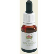 peach flow tea tree austr15ml