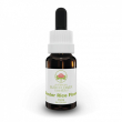 slender rice flower 15 ml