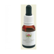 spinifex australian 15ml gtt